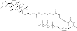 Digoxigenin-11-ddUTP