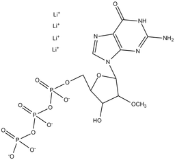 2'-O-Methyl-GTP