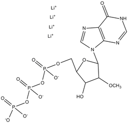 2'-O-Methyl-ITP