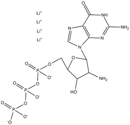 2'-Amino-dGTP