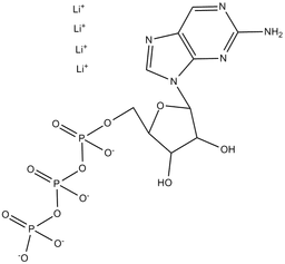 2-Aminopurine-rTP
