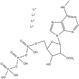 2'-O-Methyl-N6-Methyl-ATP