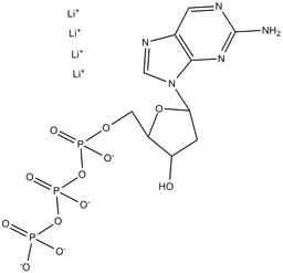 2-Aminopurine-drTP