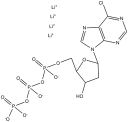 6-Cl-purine-drTP