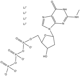 N2-Methyl-dGTP