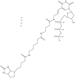 Biotin-16-dUTP