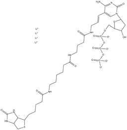 Biotin-16-dCTP