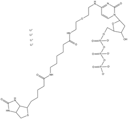N4-Biotin-OBEA-dCTP