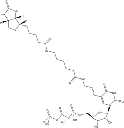 Biotin-11-UTP
