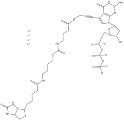 Biotin-16-dGTP