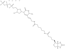 Biotin-11-dUTP