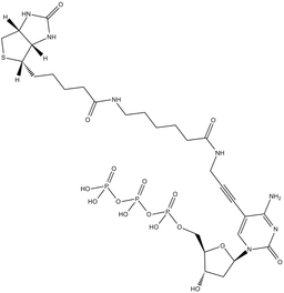 Biotin-11-dCTP