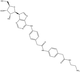 Adenosine amine congener