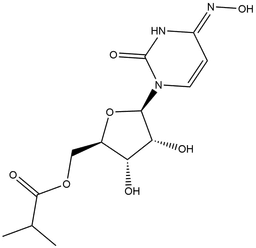 Molnupiravir