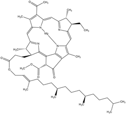 Bacteriochlorophyll from Rhodopseudomonas sphaeroides
