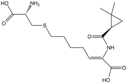 Cilastatin