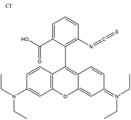 Rhodamine B isothiocyanate