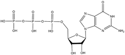 Guanosine triphosphate