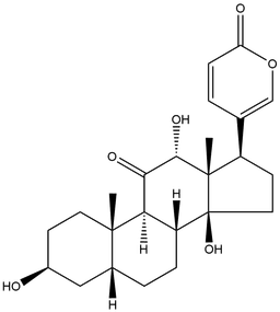 Pseudobufarenogin