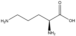 L-Ornithine