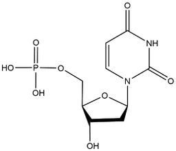 2'-Deoxyuridine 5'-monophosphate