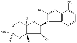 8-Bromo-cAMP, sodium salt