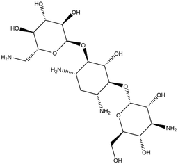 Kanamycin