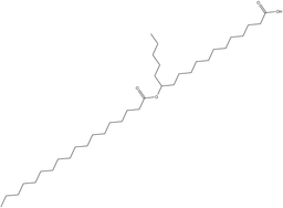 13-SAHSA