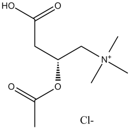 L-Acetylcarnitine (hydrochloride)