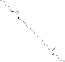 14(15)-EET Ethanolamide