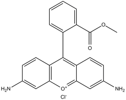 Rhodamine 123 (chloride)