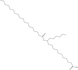 12-SAHSA