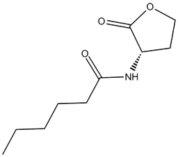 N-hexanoyl-L-Homoserine lactone