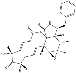 Cytochalasin E