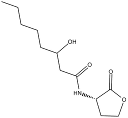 N-3-hydroxyoctanoyl-L-Homoserine lactone