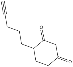 DYn-2