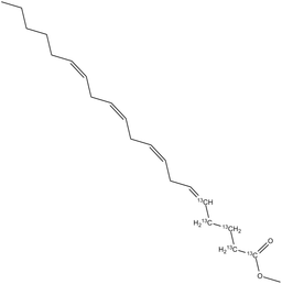 Arachidonic Acid methyl ester 1,2,3,4,5-13C