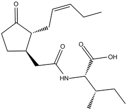 (-)-Jasmonoyl-L-isoleucine