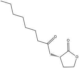 N-octanoyl-L-Homoserine lactone