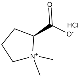 Stachydrine (hydrochloride)