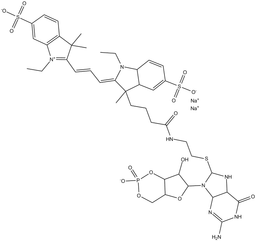 8-DY547-cGMP