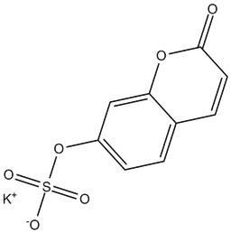 7-Hydroxy Coumarin sulfate (potassium salt)