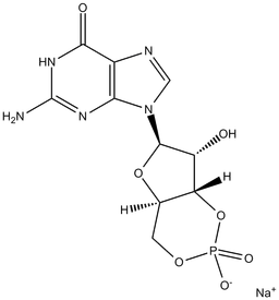 Cyclic GMP