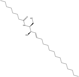 C-8 Ceramide