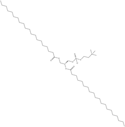 1,2-Diarachidoyl-sn-glycero-3-PC