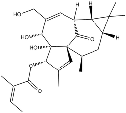 Ingenol-3-angelate