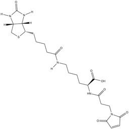 3-(N-Maleimidopropionyl)-biocytin