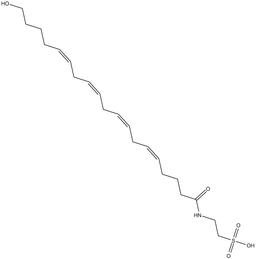20-hydroxy N-Arachidonoyl Taurine