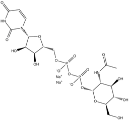 UDP-N-acetyl-D-glucosamine (sodium salt)