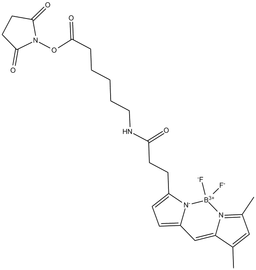 3-BODIPY-propanoylaminocaproic Acid N-hydroxysuccinimide ester